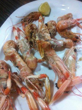 La taverna del peix fregit