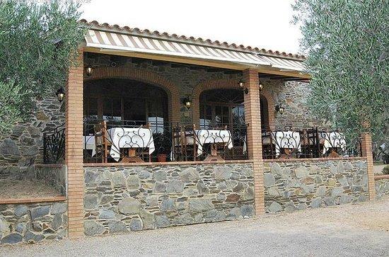 L'Olivar d'en Norat