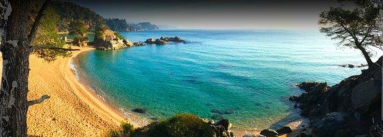 Cala Treumal