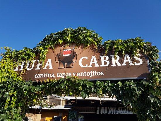 Chupacabras