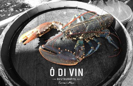 O Di Vin