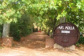 le Vignoble Mas Molla