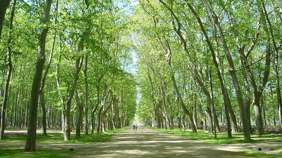 el Parc de la Devesa