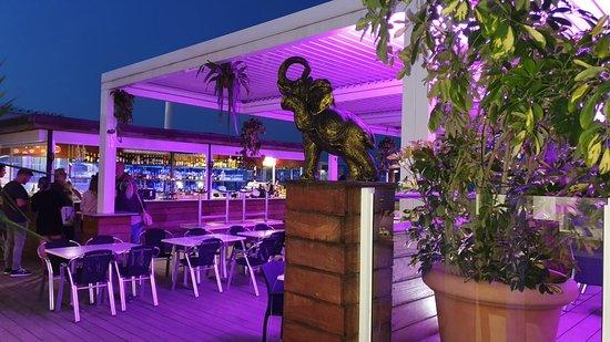 Jungle Kafe