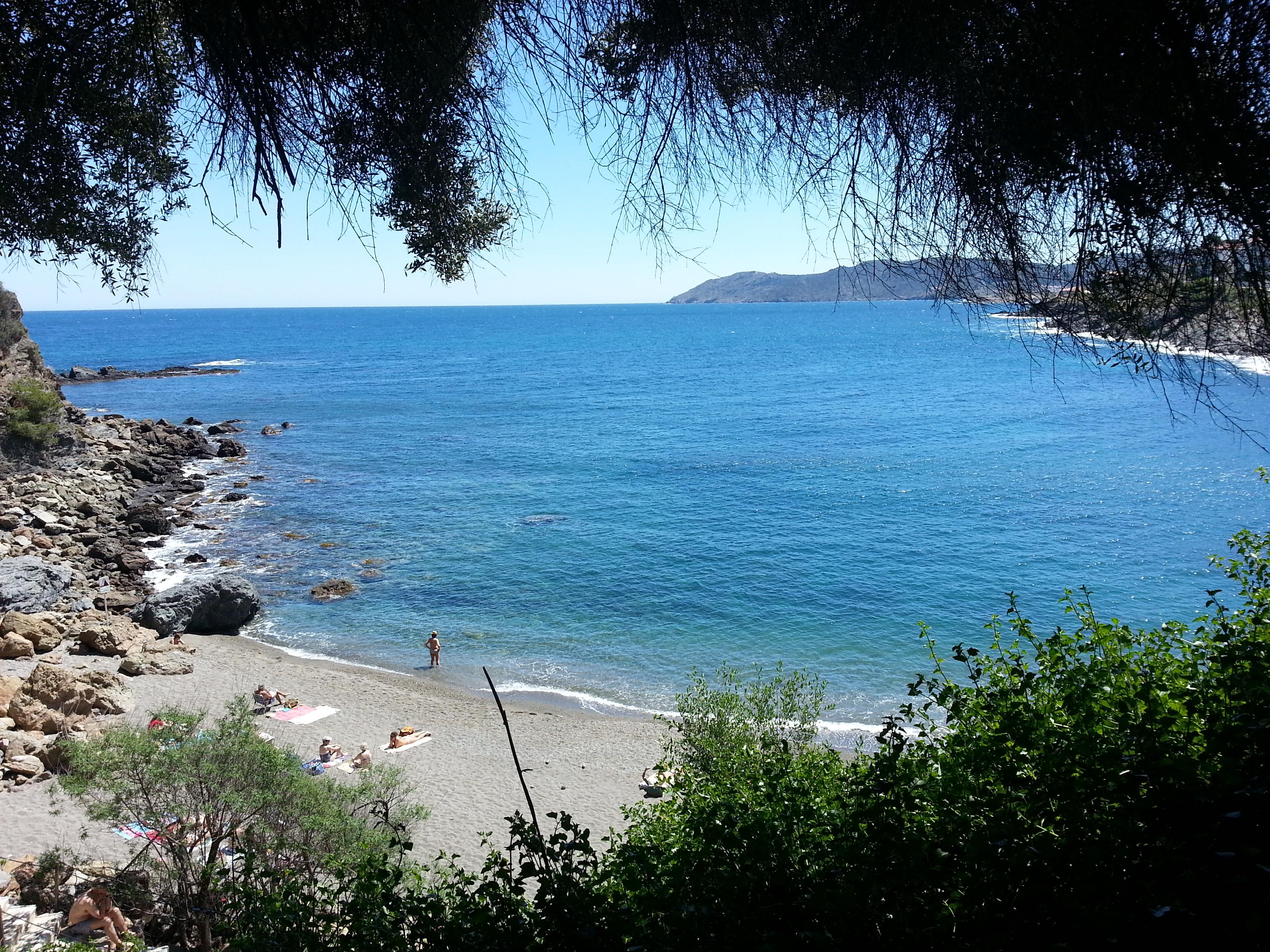Cau del Llop