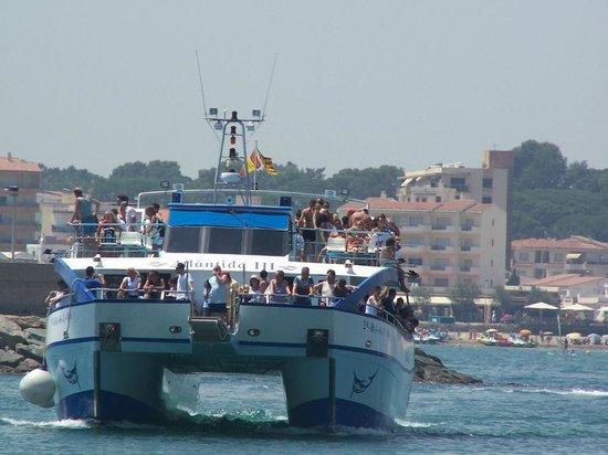 Creuers Mare Nostrum