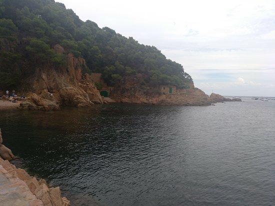 Cala Tamariua