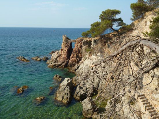 el Poblado Íbero de Puig de Castellet