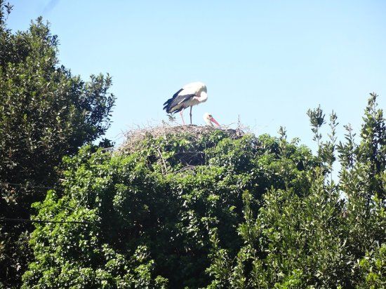 Parc del Castell